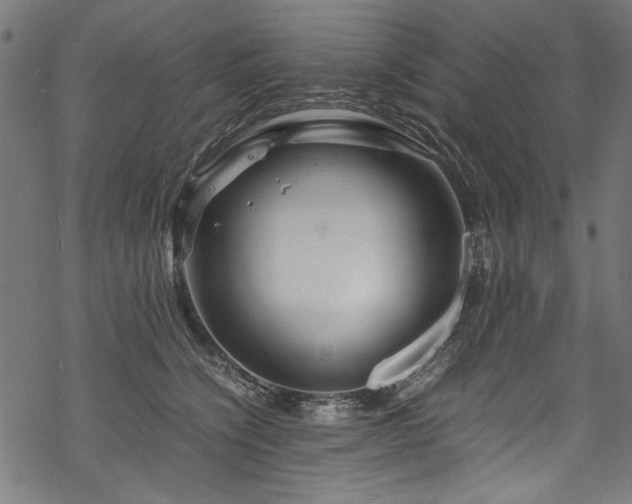 X0000070210564200605301405