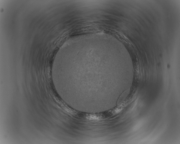 X0000070210565200605301405