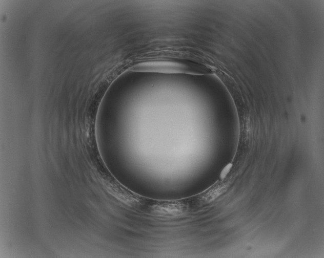 X0000070210567200605301405