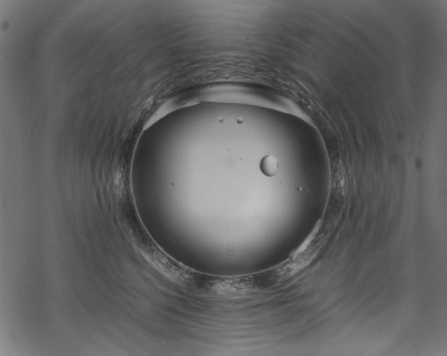 X0000070210568200605301405