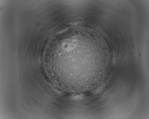 X0000070210569200605301405