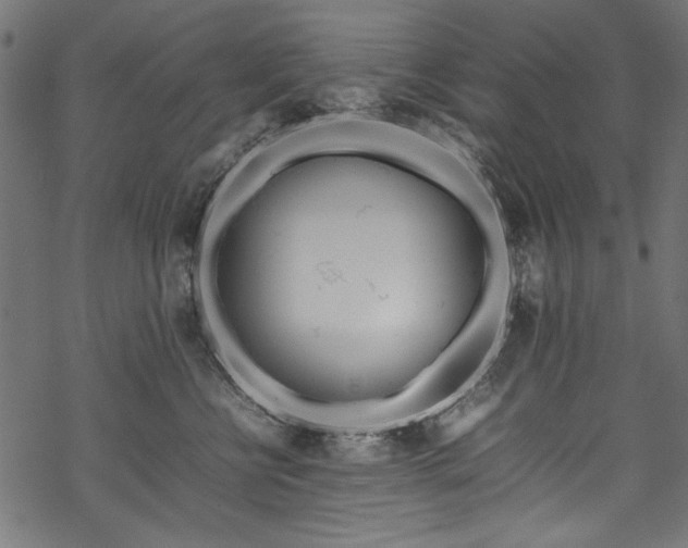 X0000070210570200605301405