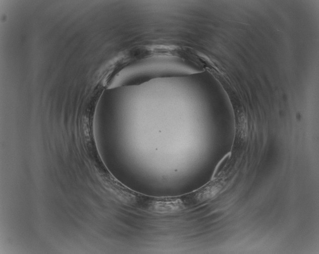 X0000070210571200605301405