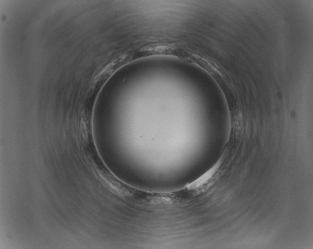 X0000070210572200605301405