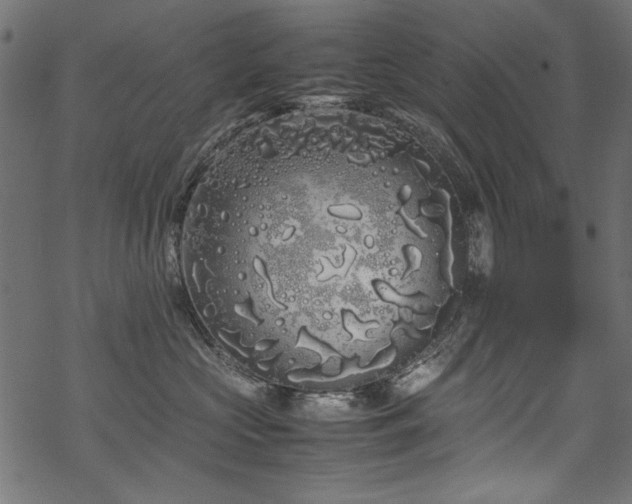 X0000070210573200605301405