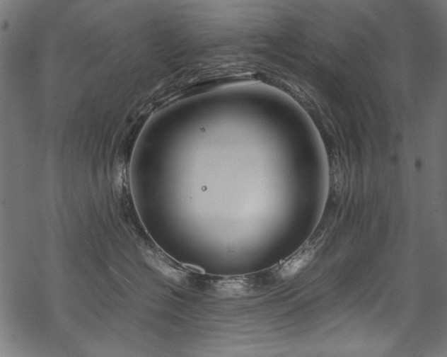 X0000070210574200605301405