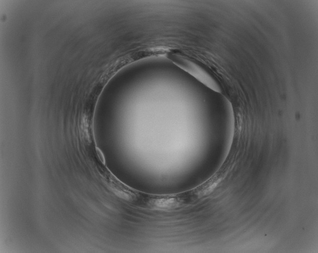 X0000070210575200605301405