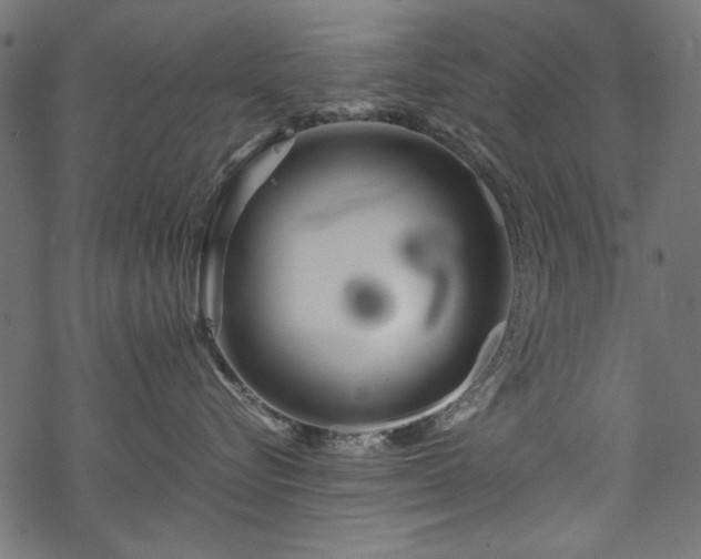 X0000070210576200605301405