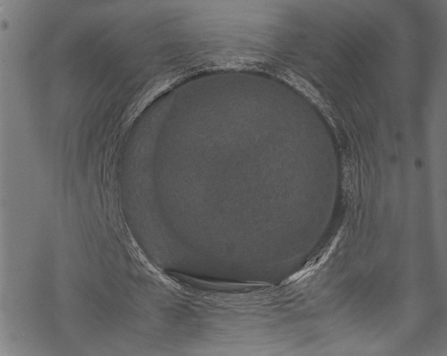 X0000070210577200605301405