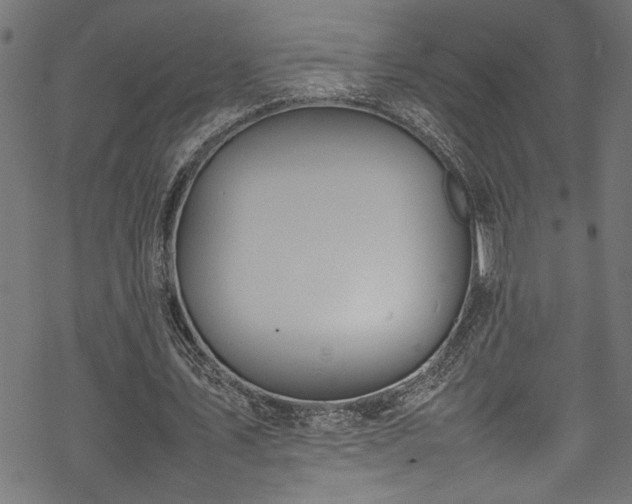 X0000070210579200605301405