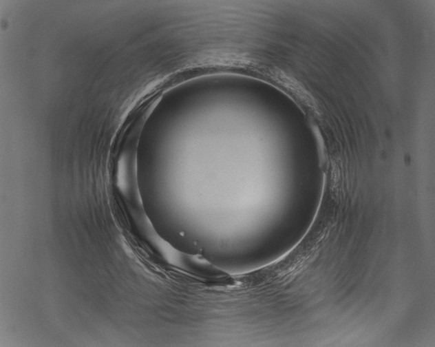 X0000070210580200605301404