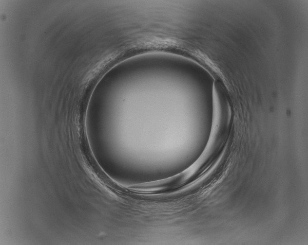 X0000070210581200605301404