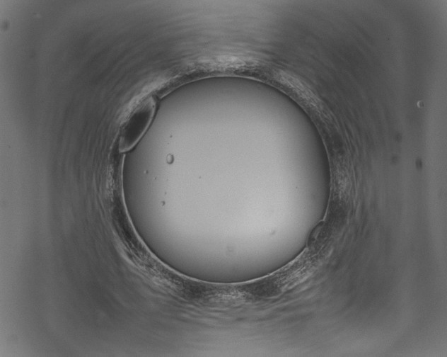 X0000070210583200605301404