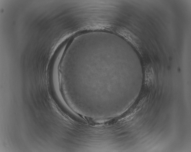 X0000070210584200605301404