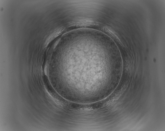 X0000070210586200605301404