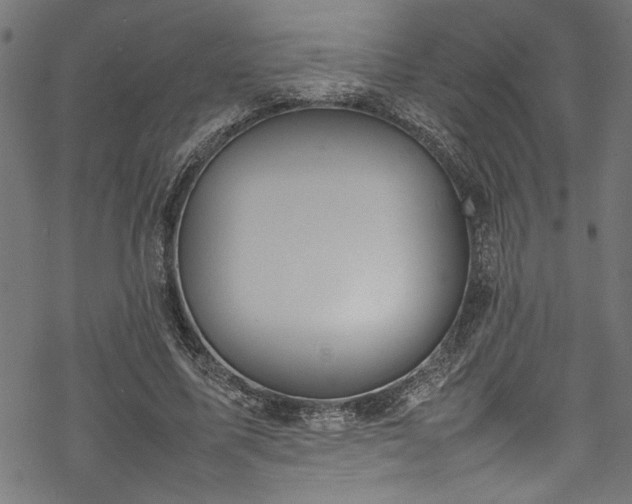 X0000070210587200605301404