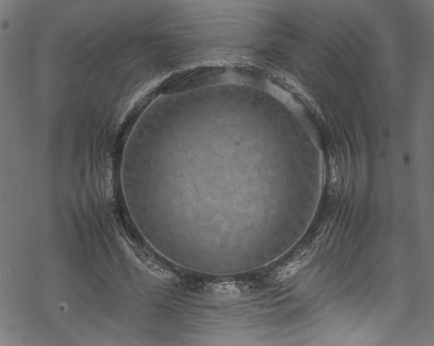 X0000070210588200605301404