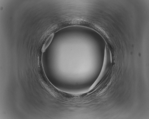 X0000070210589200605301404