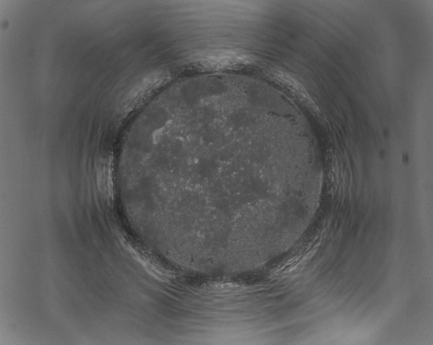 X0000070210590200605301404