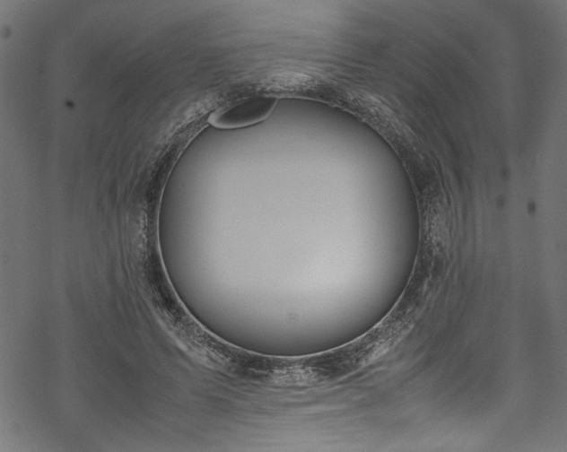 X0000070210591200605301404