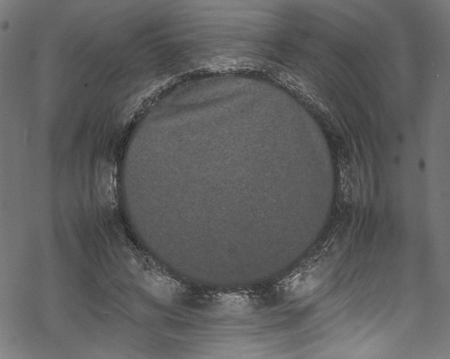 X0000070210592200605301404