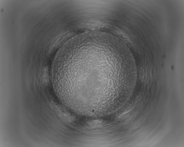 X0000070210594200605301404