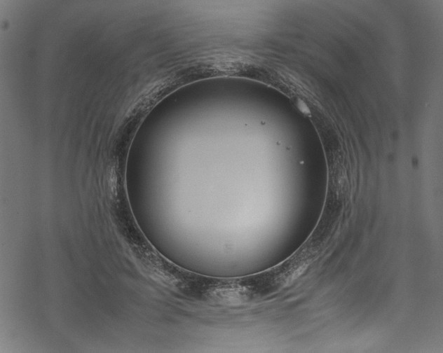 X0000070210595200605301404