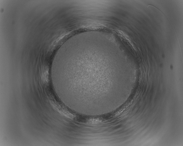 X0000070210596200605301404