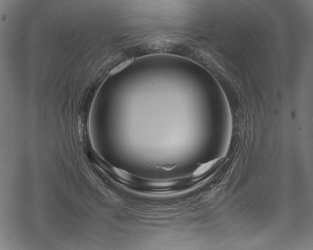 X0000070210597200605301404