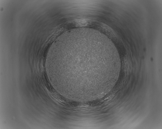 X0000070210598200605301404