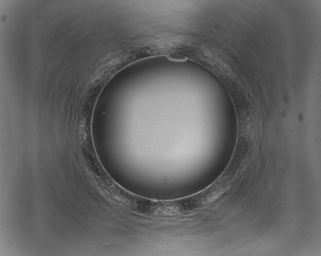 X0000070210599200605301404