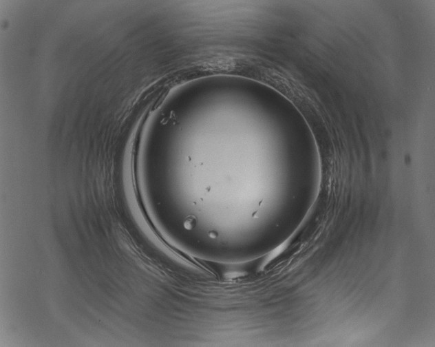 X0000070210600200605301404