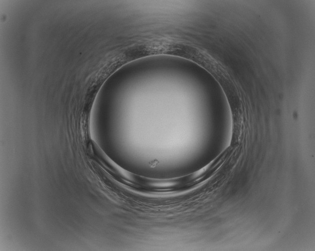 X0000070210601200605301404