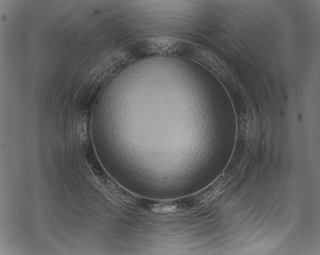 X0000070210602200605301404