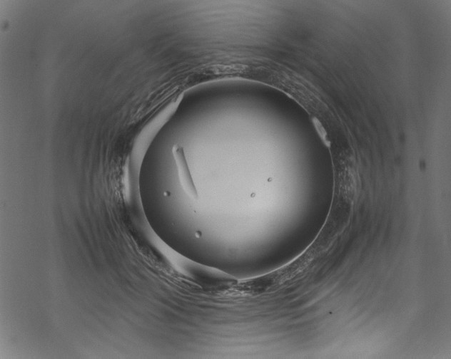 X0000070210604200605301404