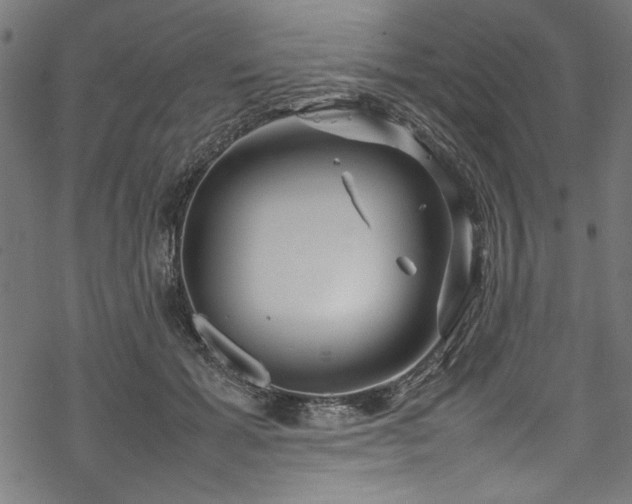 X0000070210605200605301404