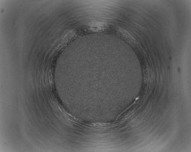 X0000070210606200605301404