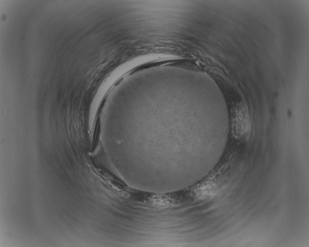 X0000070210608200605301404