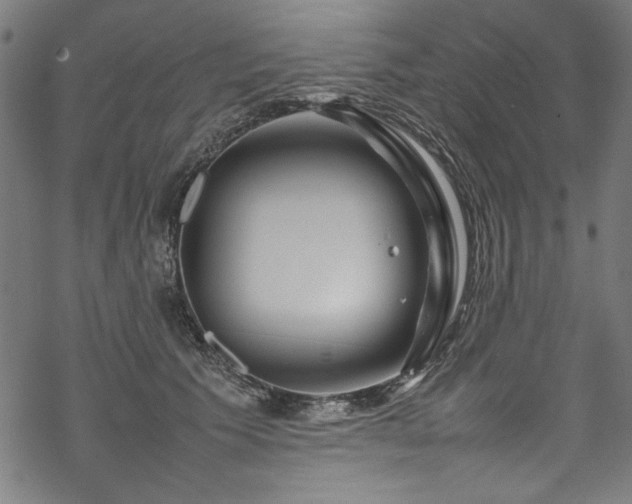 X0000070210609200605301404