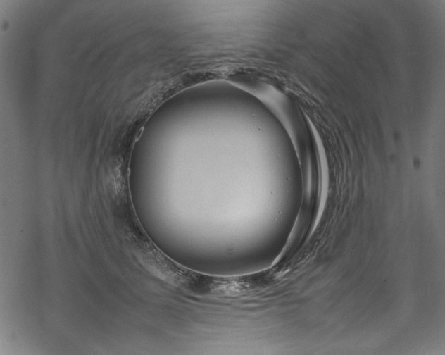 X0000070210611200605301404