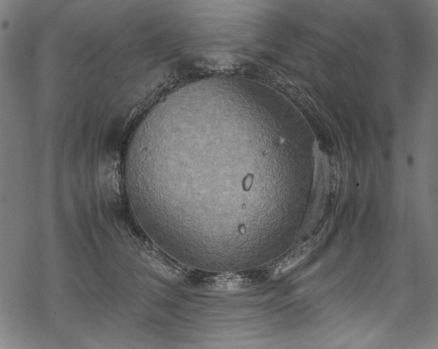 X0000070210612200605301404