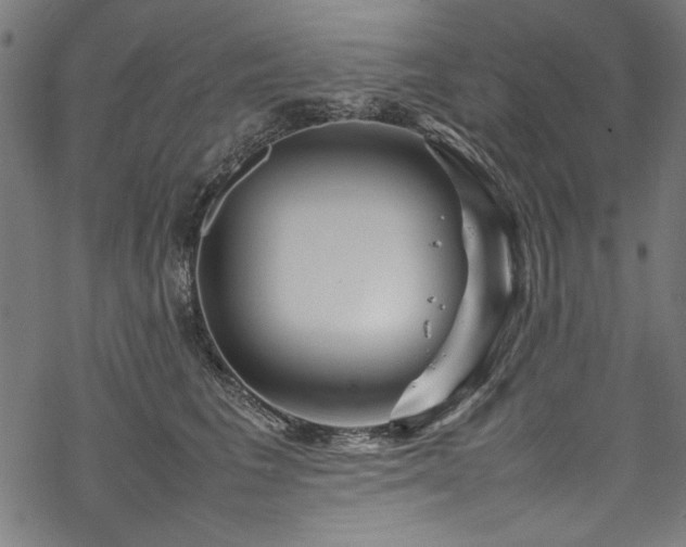 X0000070210613200605301404