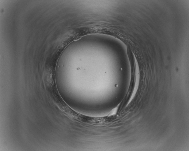 X0000070210615200605301404