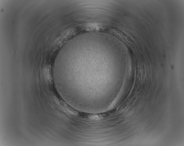 X0000070210616200605301404