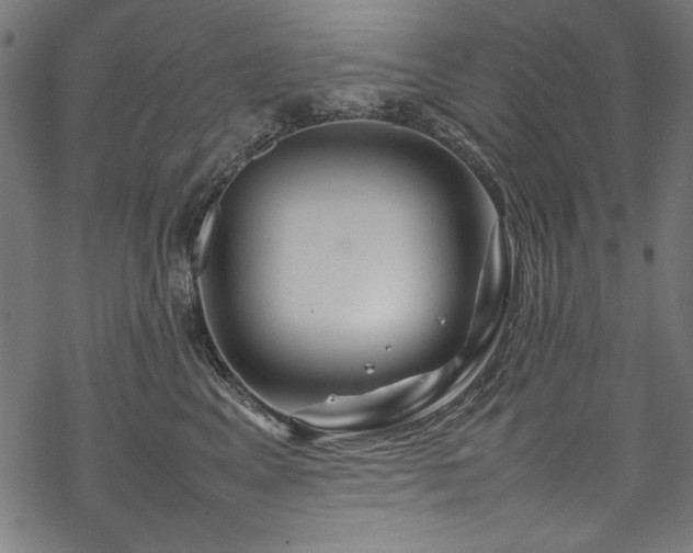 X0000070210617200605301404