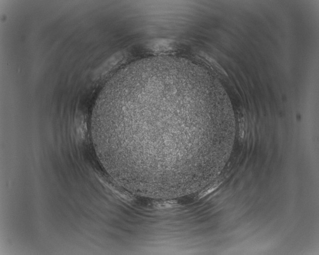 X0000070210618200605301404