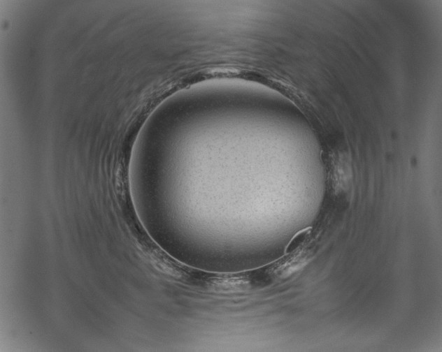 X0000070210619200605301404