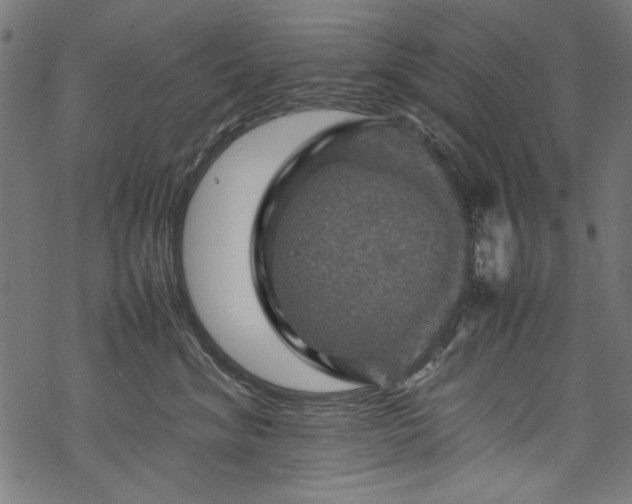 X0000070210620200605301404