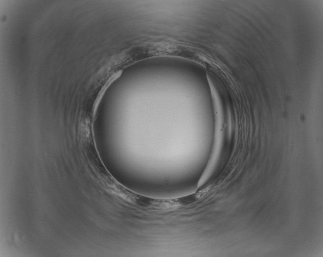 X0000070210621200605301404