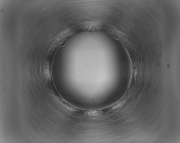 X0000070210622200605301404